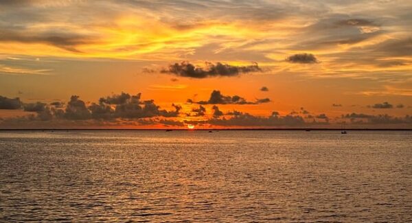 小淘网赚论坛热议：网络视频营销与致富金点子的新趋势