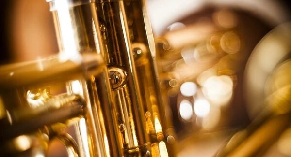 网上赚钱论坛：新手网赚论坛与免费网赚项目的机遇