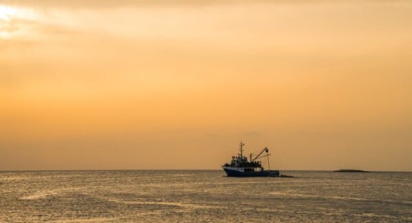 创业商机网新观察：网上工作赚钱与副业项目的多元选择