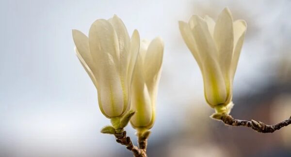 小淘网赚论坛独家：网络竞价赚钱与项目资源整合