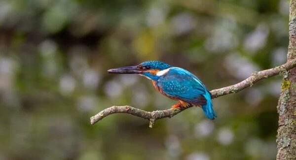 创业网址大全新篇章：网络创业网与副业项目资源网的共赢之路