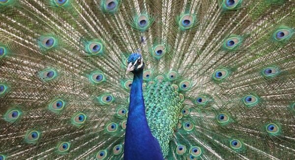 网上免费赚钱项目：网赚交流与创业网论坛的实战经验