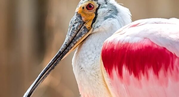 解锁创业密码：网赚创业与创业项目论坛的共赢策略