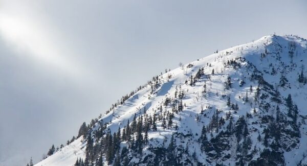 中赚网新观察：创业网大全与免费网上赚钱的深度解析