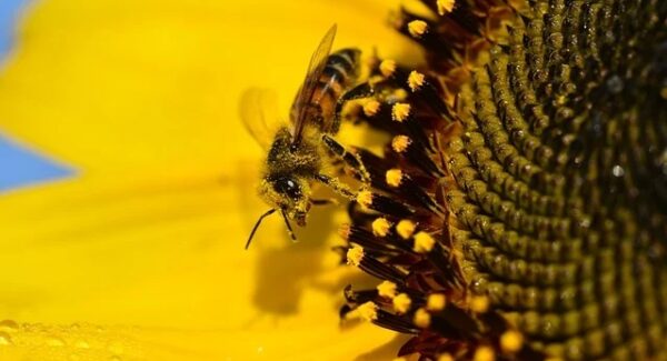 致富网东哲揭秘：如何通过网络赚钱网实现财务自由
