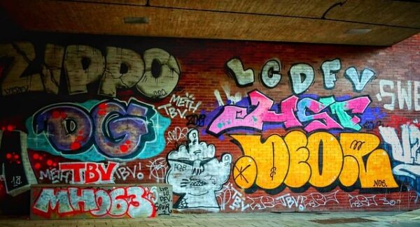 谷歌网赚新探索：个人SEO赚钱与狗凯之家源码网的启发