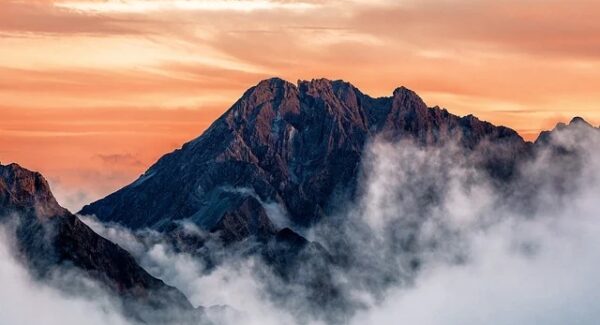 项目资源站新宠：中创网热门项目与项目网站的融合创新