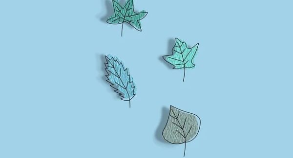 轻松创业项目大搜罗：创业论坛网与深度网赚论坛的强强联合