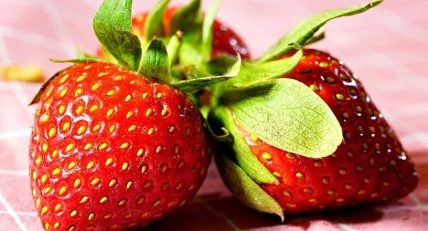 爱发资源整合网大放送：创业商机网与160商机网的联合盛宴