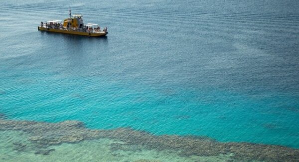 网站赚钱新途径：网上工作赚钱与竞价赚钱的双赢策略