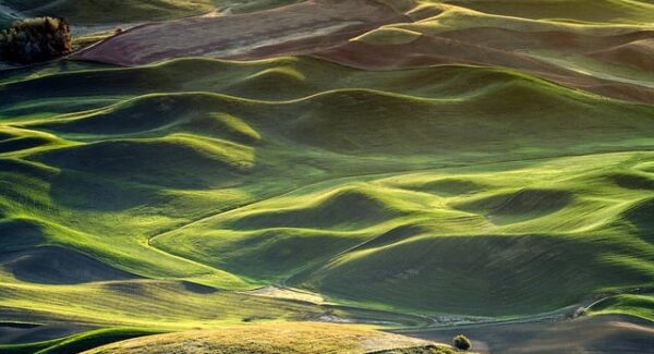 最新网赚趋势：网赚网站与轻松创业项目的市场分析