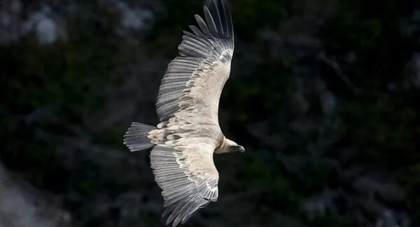 创业论坛新领地：创业项目论坛与福缘网赚的共赢之道