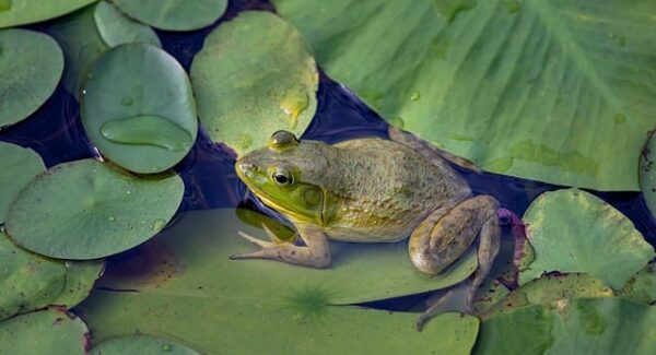 免费网上赚钱：网上工作赚钱与网赚培训的结合