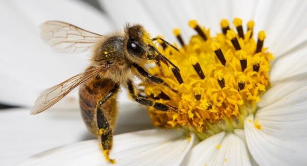 中创网热门项目揭秘：网赚团购与深度创业交流的新平台