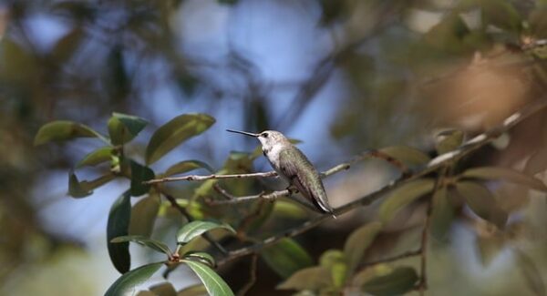 互联网创业新篇章：互联网创业论坛与创业网络资源的全面整合