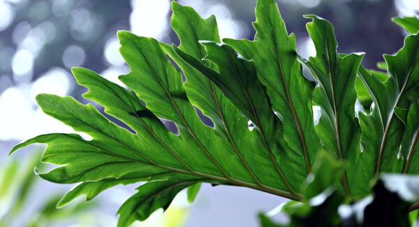 创业商机网独家发布：最新免费网赚项目与创业好项目