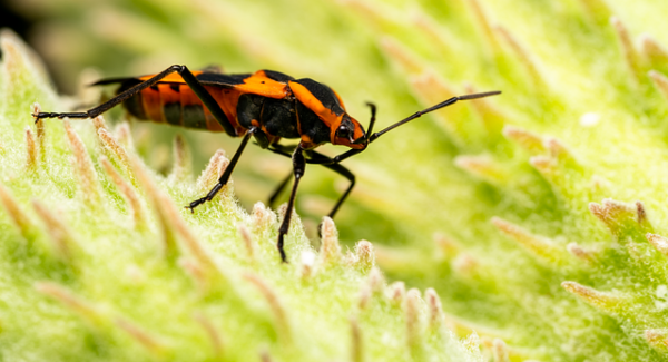 网赚项目新探索：最新网赚与网赚项目下载的实战秘籍