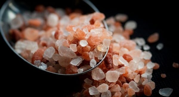 创业网络新纪元：网上赚钱论坛与网赚资源深度探索