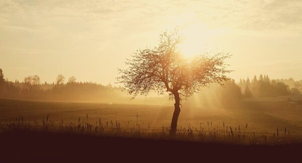 网创项目资源整合网站新推荐：项目大巴网赚与项目资源站