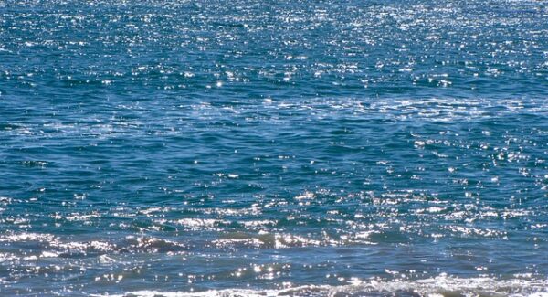 非凡网赚网独家揭秘：网上免费赚钱项目的真实体验