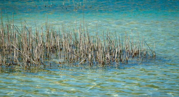 创业故事论坛里的SEO赚钱秘诀：从理论到实践的飞跃