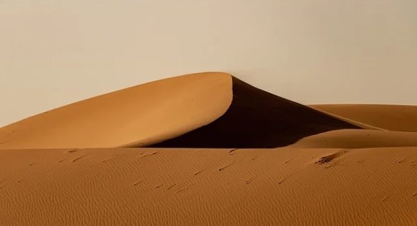 最新网赚趋势：免费赚钱项目与热门创业项目的完美结合