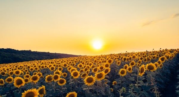 无本创业新机遇：网上工作赚钱与免费网上赚钱项目双丰收