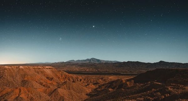 小鱼项目网独家揭秘：网络竞价赚钱与网赚好项目的秘密