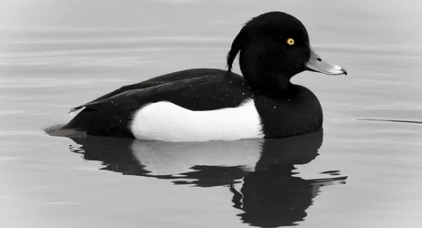 小淘学社新课堂：网络兼职挣钱与SEO赚钱培训的实战教学