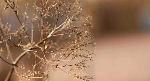 游戏直播陪跑真能赚钱？中创网右豹赚钱法全揭秘