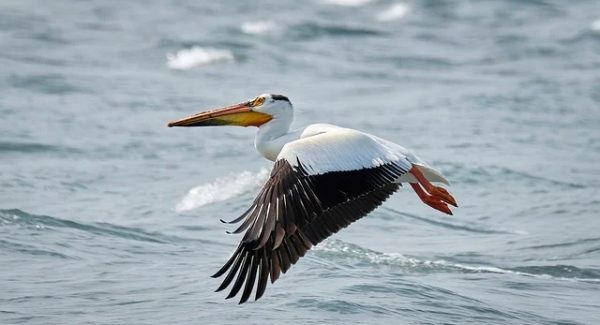 暮沉资源站新发现：网赚培训与创业故事论坛的灵感碰撞