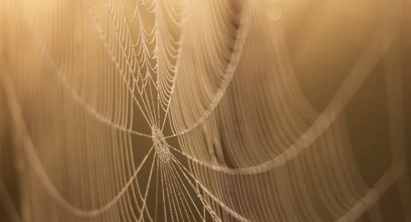 真实网络赚钱项目：非凡网赚网分享轻松创业项目与网赚技巧