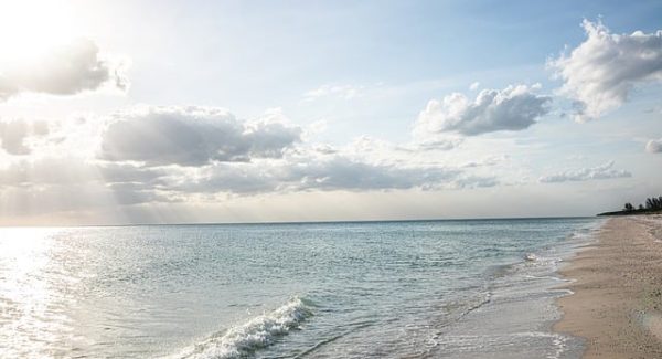 爱发资源整合网新探索：SEO赚钱培训与项目资源整合的双重保障