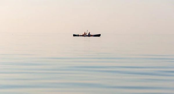 网赚论坛新风尚：中赚网论坛与免费赚钱项目的精彩碰撞