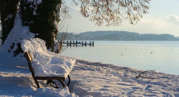 网站优化新境界：百度快照更新与网站排名技术的双重飞跃