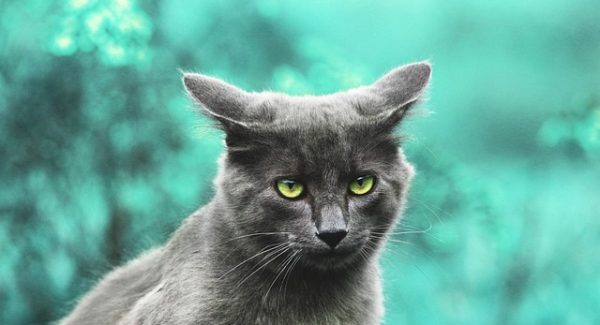 中创网热门项目大放送：揭秘网赚培训与创业故事论坛的奥秘