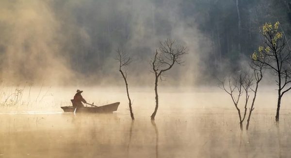 网上赚钱论坛新风向：创业网络助力新手网赚论坛快速成长