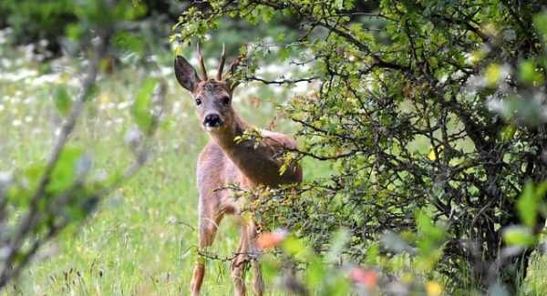 冒泡网创新网赚：冒泡网赚与冒泡创业网共筑网赚梦想