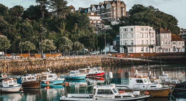 深度网赚论坛热议：最新网赚项目与seo优化课程并行发展