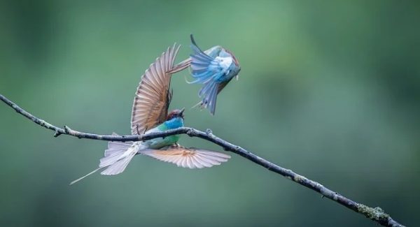 无本创业新风口：竞价赚钱与网赚团购的共赢之道