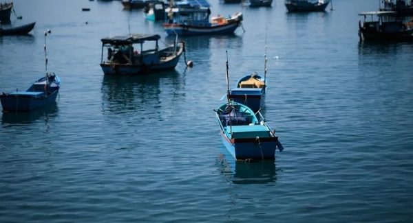 猎富团揭秘：狗凯之家源码网与网址助力SEO赚钱