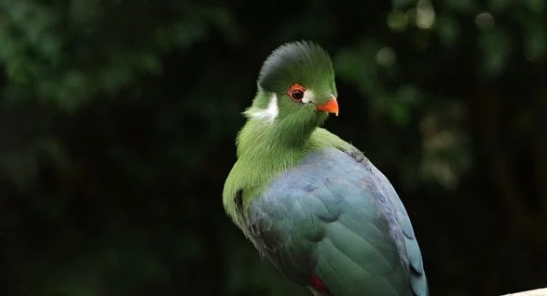 福缘创业网领航：福缘网站论坛助力创业者网络赚钱社区