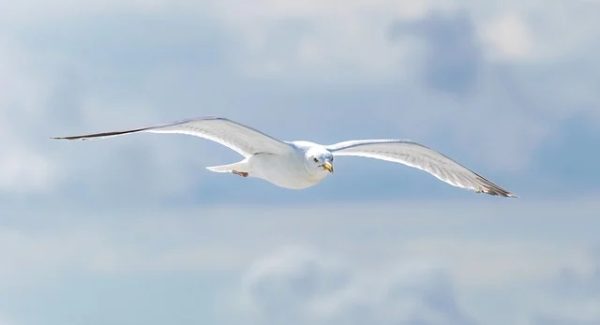 最新网赚趋势：竞价赚钱与百度关键词价格优化的双赢策略