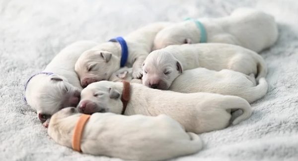 创业商机网独家揭秘：热门创业项目与SEO文案的创意结合