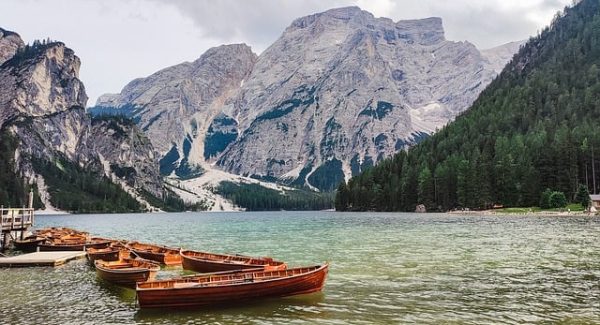 网站赚钱新途径：网上免费赚钱项目与SEO每天一贴的结合