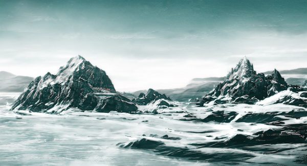 右豹赚钱秘籍大公开，加速器项目助力加速成功