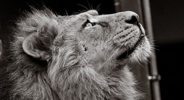 创业网致富网真相探索：真实网络赚钱项目与创业网大全的权威解析