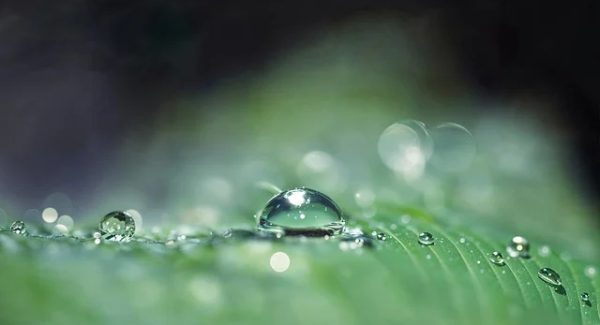 创业论坛网新篇章：创业故事论坛与网赚学习并重