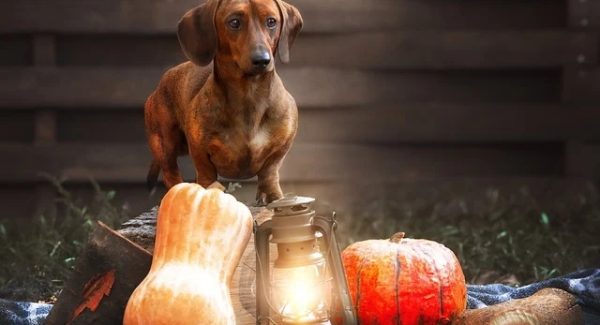 网易云刷单赚钱秘籍：冒泡网新风尚，探索网赚背后的真实故事