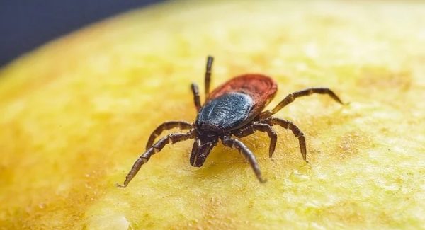 网上创业赚钱实战：怎么网上创业？创业网大全来指路